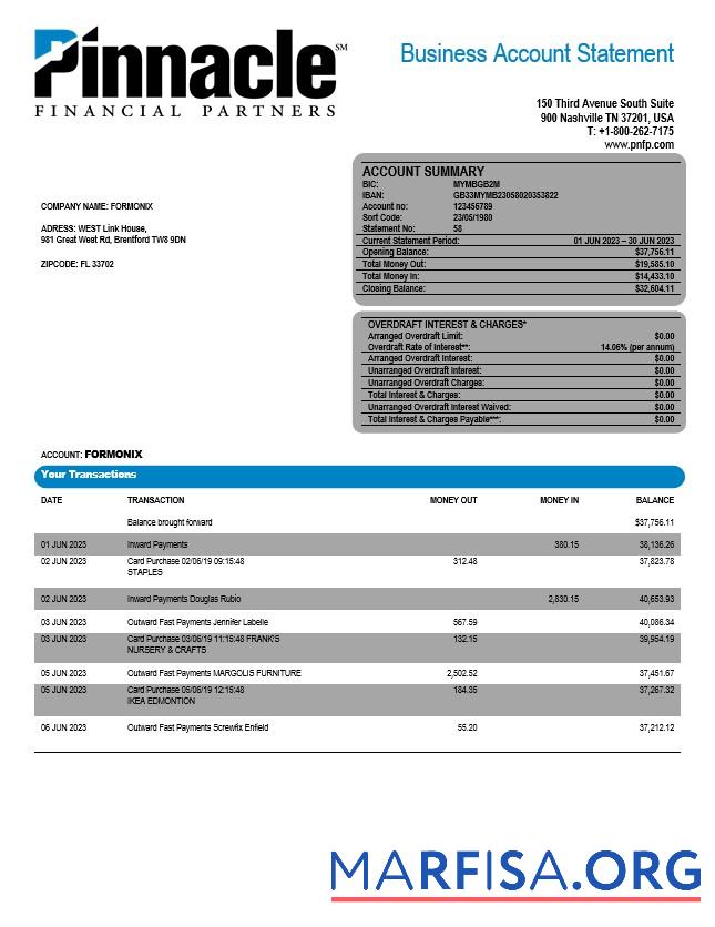 Realistic Pinnacle Financial Bank firm account statement Word and PDF template